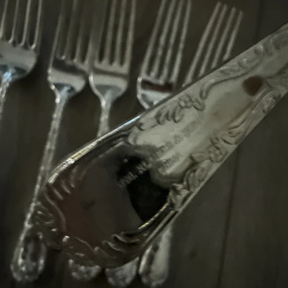 Wm Rogers & Son International Silver Silverplate Enchanted Rose‎ 6 Dinner Forks